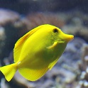 Marineland - Aquarium - 088